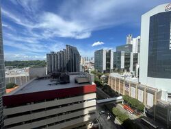 People's Park Centre (D1), Apartment #504308681